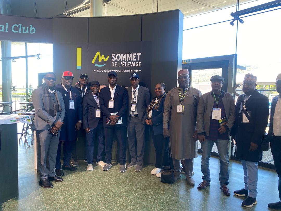 SOMET D'LELVEGE VISITATION